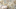 Homepage slider image