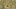 Homepage slider image