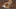 Homepage slider image
