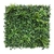 Product ΚΑΘΕΤΟΣ ΚΗΠΟΣ AMSTERDAM 100 Χ 100 A143 GREEN DREAM NewPlan base image