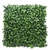Product ΠΑΝΕΛ ΦΥΛΛΩΣΙΑΣ BERLIN 50 Χ 50 A029 IVY NewPlan base image