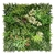 Product ΚΑΘΕΤΟΣ ΚΗΠΟΣ BABYLON 100 Χ 100 C003 GAEA NewPlan base image