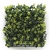 Product ΠΑΝΕΛ ΦΥΛΛΩΣΙΑΣ BERLIN 50 Χ 50 A003 BUXUS NewPlan base image