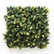 Product ΠΑΝΕΛ ΦΥΛΛΩΣΙΑΣ BERLIN 50 Χ 50 A017 PHOTINIA NewPlan base image