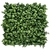 Product ΠΑΝΕΛ ΦΥΛΛΩΣΙΑΣ BERLIN 50 Χ 50 A199 EUCALYPTUS NewPlan base image