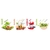 Product DIMEX DIMEX19 KI_180_003-DIM base image
