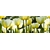Product DIMEX DIMEX19 KI_180_009-DIM base image