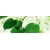 Product DIMEX DIMEX19 KI_180_010-DIM base image