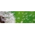 Product DIMEX DIMEX19 KI_180_012-DIM base image