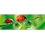 Product DIMEX DIMEX19 KI_180_015-DIM base image