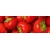 Product DIMEX DIMEX19 KI_180_025-DIM base image