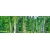 Product DIMEX DIMEX19 KI_180_044-DIM base image