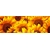 Product DIMEX DIMEX19 KI_180_051-DIM base image