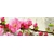 Product DIMEX DIMEX19 KI_180_053-DIM base image