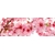 Product DIMEX DIMEX19 KI_180_054-DIM base image