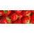Product DIMEX DIMEX19 MP-2-0241-DIM base image