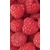 Product DIMEX DIMEX19 MS-2-0242-DIM base image