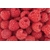 Product DIMEX DIMEX19 MS-5-0242-DIM base image