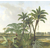 Product BEHANG EXPRESSE TREASURES OF NATURE TD4251-BEH base image