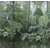 Product BEHANG EXPRESSE TREASURES OF NATURE TD4256-BEH base image