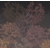 Product BEHANG EXPRESSE TREASURES OF NATURE TD4273-BEH base image