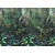 Product BEHANG EXPRESSE TREASURES OF NATURE TD4287-BEH base image